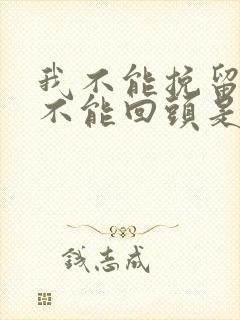 我不能挽留,我不能回头是什么歌