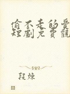 偷不走的爱与光短剧免费观看