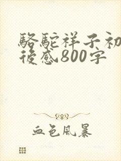 骆驼祥子初一读后感800字
