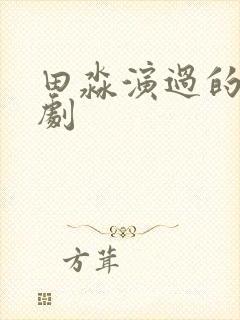 田淼演过的电视剧