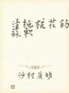 清纯校花的日常苏软