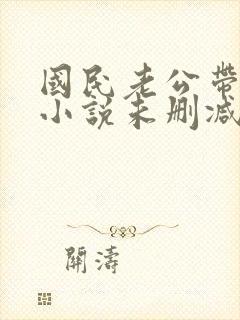 国民老公带回家小说未删减