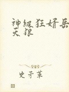 神级狂婿岳风吻天狼