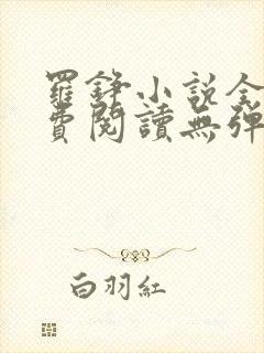 罗铮小说全文免费阅读无弹窗