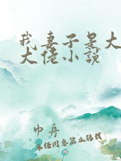 我妻子是大乘期大佬小说