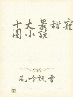 十大最甜宠娱乐圈小说