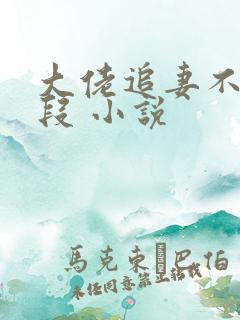 大佬追妻不择手段 小说