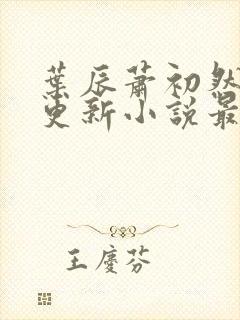 叶辰萧初然最快更新小说最新