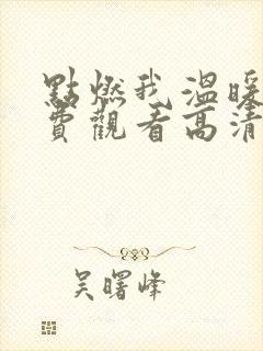 点燃我温暖你免费观看高清全集