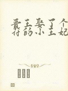 晋王娶了个会画符的小王妃小说