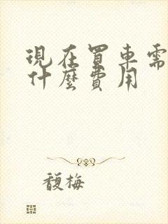 现在买车需要交什么费用