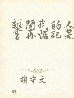 离开我的人我不会再惦记是什么歌