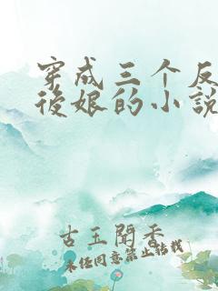 穿成三个反派的后娘的小说