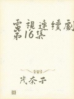 电视连续剧偶然第16集