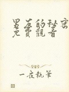 男友的秘密短剧免费观看