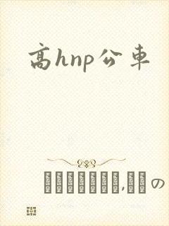 高hnp公车