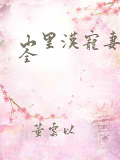 山里汉宠妻无度全