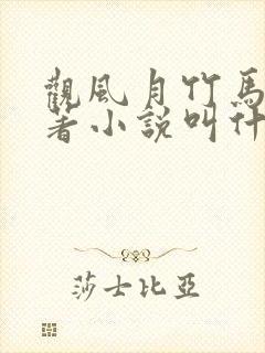 观风月竹马篇原著小说叫什么名字