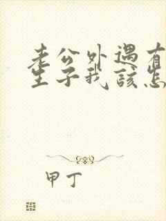 老公外遇有了私生子我该怎么办