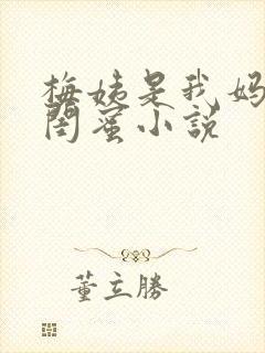 梅姨是我妈妈的闺蜜小说