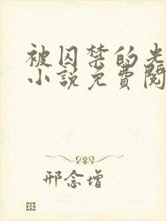 被囚禁的光明神小说免费阅读