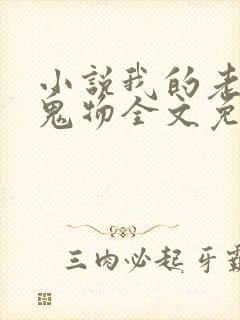 小说我的老公是鬼物全文免费阅读