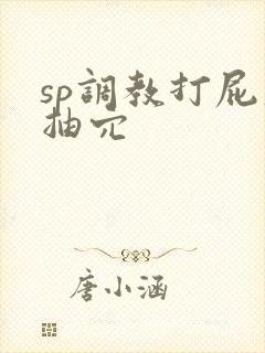 sp调教打屁股抽穴