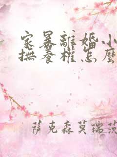 家暴离婚小孩子抚养权怎么判定