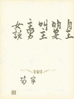 女主叫明月的小说男主是王爷