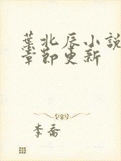 叶北辰小说最新章节更新