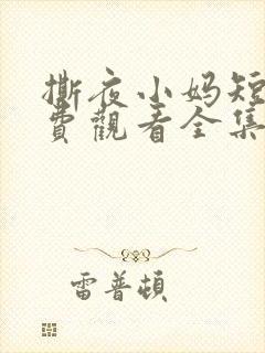 撕夜小妈短剧免费观看全集最新章节