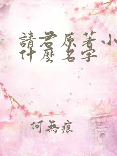 请君原著小说叫什么名字