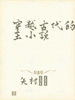 穿越古代的双男主小说