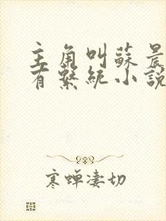 主角叫苏晨穿越有系统小说