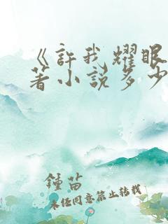 《许我耀眼》原著小说多少字