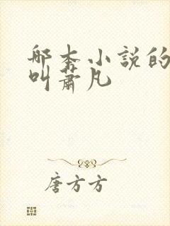 哪本小说的主角叫萧凡