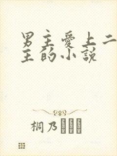 男主爱上二婚女主的小说