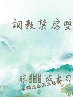 调教禁腐双性文