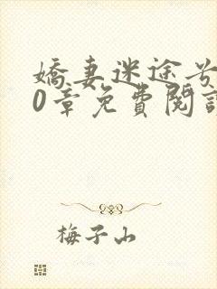 娇妻迷途兮夜60章免费阅读