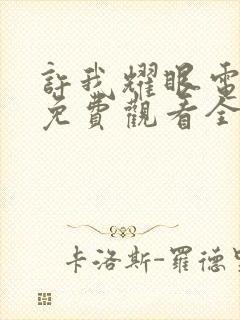 许我耀眼电视剧免费观看全集高清