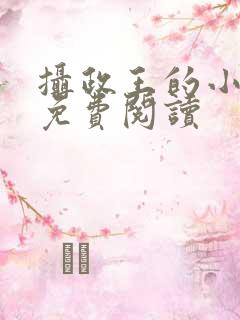 摄政王的小娇妃免费阅读