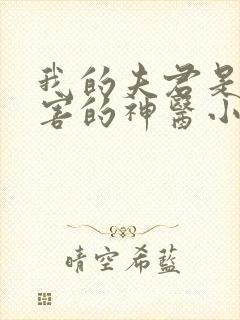 我的夫君是最厉害的神医小说