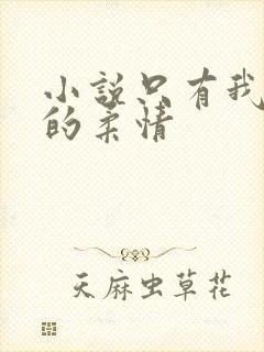 小说只有我懂他的柔情