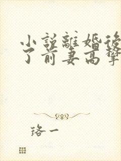 小说离婚后我成了前妻高攀不起的神