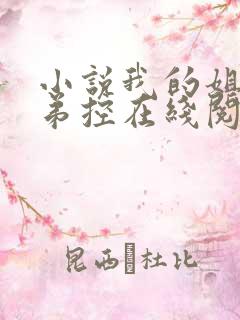 小说我的姐姐很弟控在线阅读