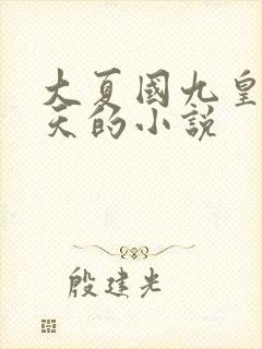 大夏国九皇子夏天的小说