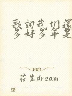 歌词我们还有好多好多年是什么歌