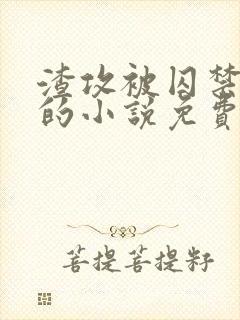 渣攻被囚禁反攻的小说免费阅读