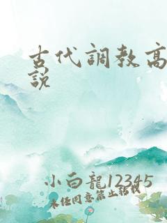 古代调教高h小说