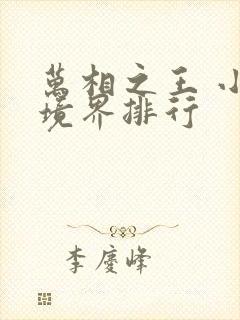 万相之王 小说境界排行